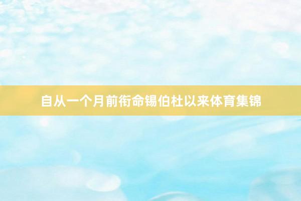 自从一个月前衔命锡伯杜以来体育集锦
