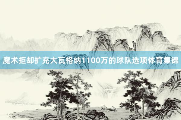 魔术拒却扩充大瓦格纳1100万的球队选项体育集锦