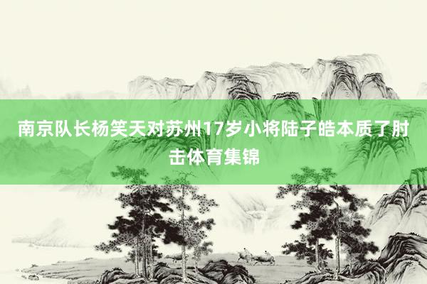 南京队长杨笑天对苏州17岁小将陆子皓本质了肘击体育集锦
