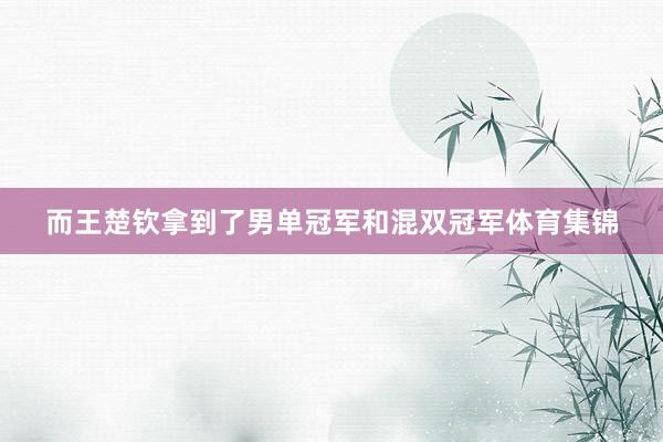 而王楚钦拿到了男单冠军和混双冠军体育集锦