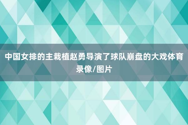 中国女排的主栽植赵勇导演了球队崩盘的大戏体育录像/图片