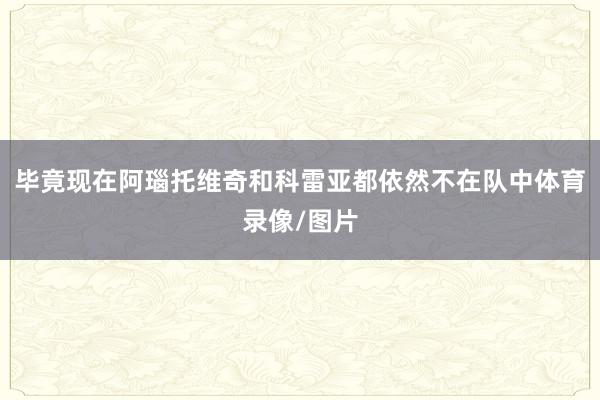 毕竟现在阿瑙托维奇和科雷亚都依然不在队中体育录像/图片