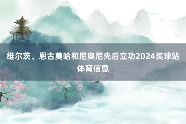 维尔茨、恩古莫哈和尼奥尼先后立功2024买球站体育信息