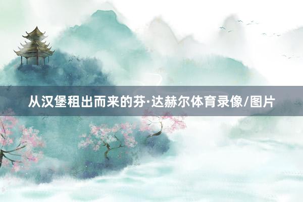 从汉堡租出而来的芬·达赫尔体育录像/图片