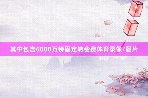 其中包含6000万镑固定转会费体育录像/图片