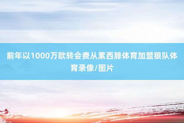 前年以1000万欧转会费从累西腓体育加盟狼队体育录像/图片