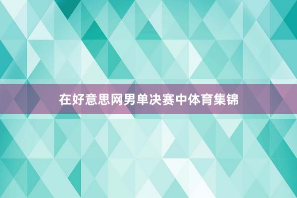 在好意思网男单决赛中体育集锦