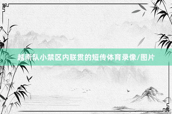 越南队小禁区内联贯的短传体育录像/图片