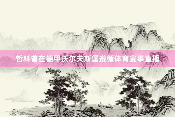 哲科曾在德甲沃尔夫斯堡遵循体育赛事直播