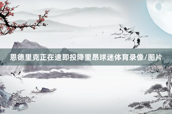 恩德里克正在速即投降里昂球迷体育录像/图片