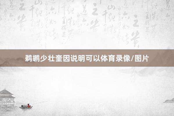 鹈鹕少壮奎因说明可以体育录像/图片