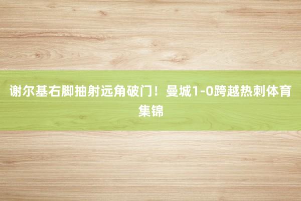 谢尔基右脚抽射远角破门！曼城1-0跨越热刺体育集锦