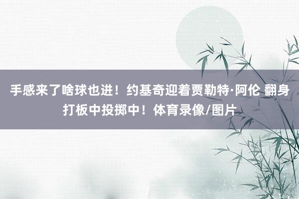 手感来了啥球也进！约基奇迎着贾勒特·阿伦 翻身打板中投掷中！体育录像/图片
