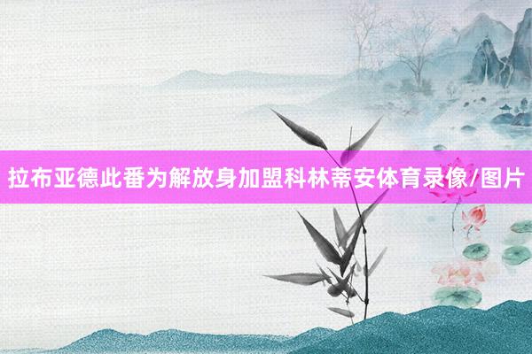 拉布亚德此番为解放身加盟科林蒂安体育录像/图片