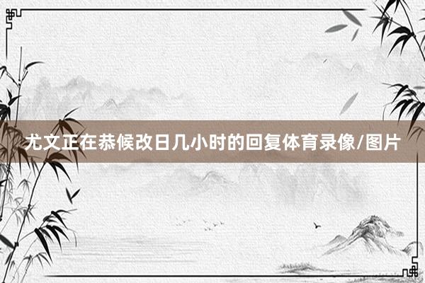 尤文正在恭候改日几小时的回复体育录像/图片