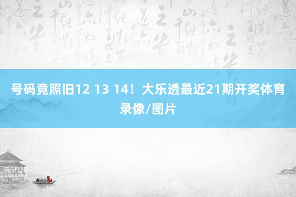 号码竟照旧12 13 14！大乐透最近21期开奖体育录像/图片
