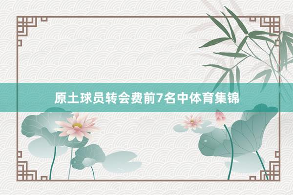 原土球员转会费前7名中体育集锦