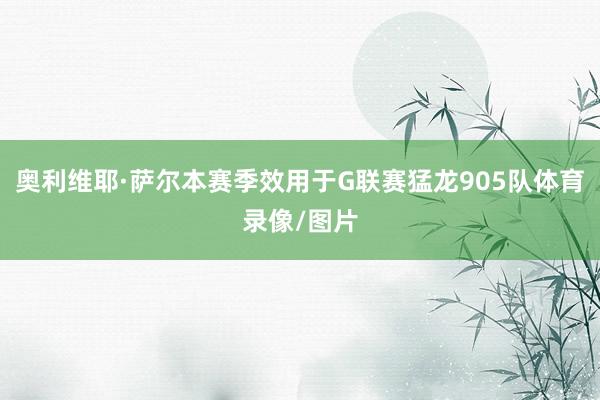 奥利维耶·萨尔本赛季效用于G联赛猛龙905队体育录像/图片