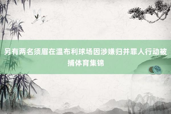 另有两名须眉在温布利球场因涉嫌归并罪人行动被捕体育集锦