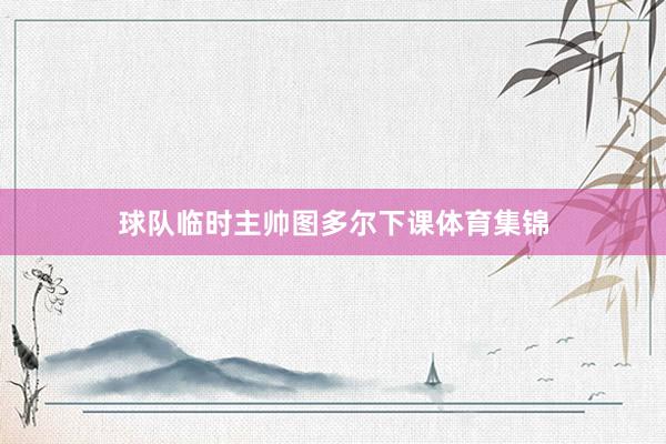 球队临时主帅图多尔下课体育集锦