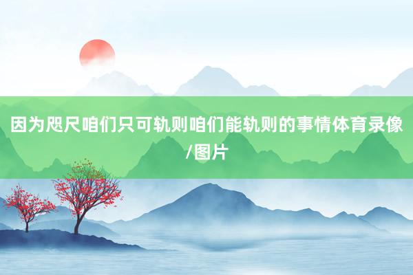 因为咫尺咱们只可轨则咱们能轨则的事情体育录像/图片