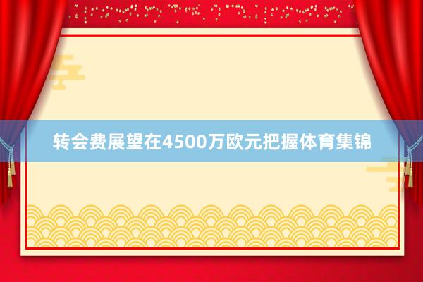 转会费展望在4500万欧元把握体育集锦