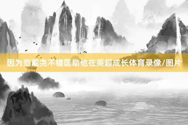 因为范戴克不错匡助他在英超成长体育录像/图片