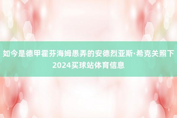 如今是德甲霍芬海姆愚弄的安德烈亚斯·希克关照下2024买球站体育信息