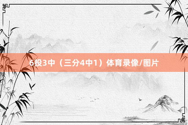 6投3中（三分4中1）体育录像/图片