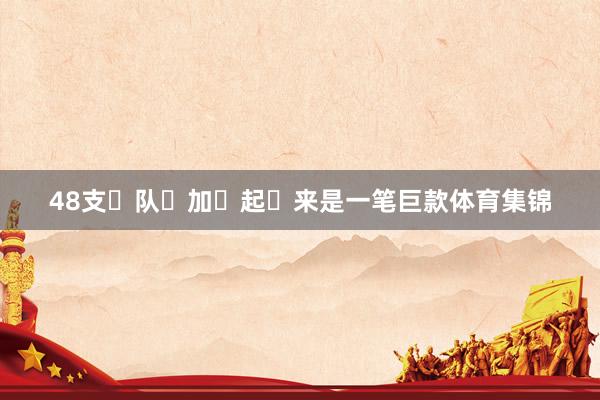 48支 队 加 起 来是一笔巨款体育集锦