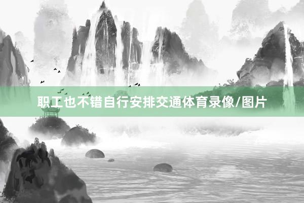 职工也不错自行安排交通体育录像/图片