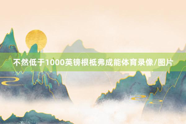 不然低于1000英镑根柢弗成能体育录像/图片