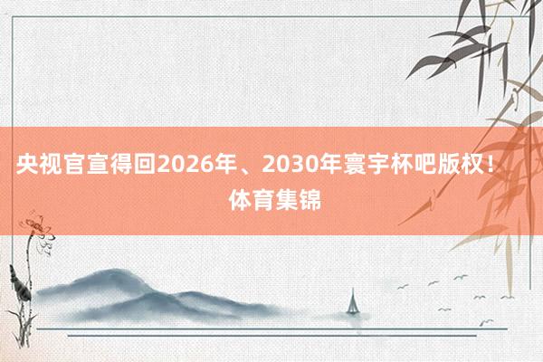 央视官宣得回2026年、2030年寰宇杯吧版权！    体育集锦
