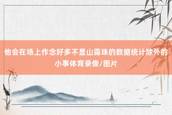 他会在场上作念好多不显山露珠的数据统计除外的小事体育录像/图片
