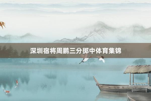 深圳宿将周鹏三分掷中体育集锦