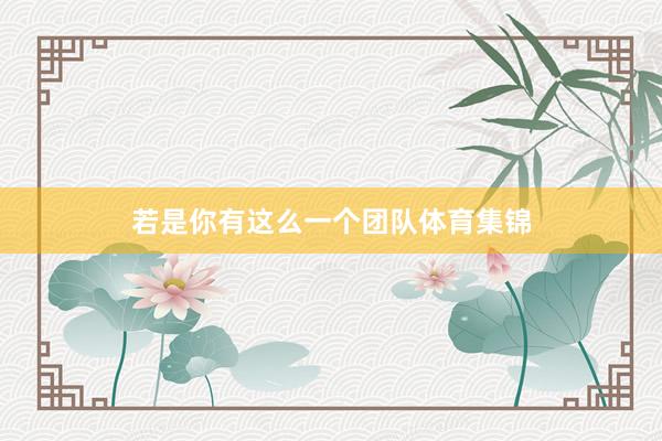 若是你有这么一个团队体育集锦